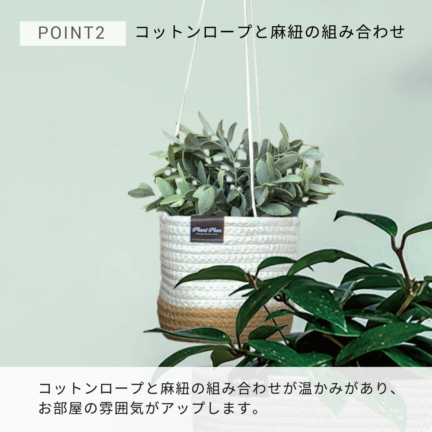 東洋ケース Plant Plan プラントプラン ハンギングプランターカバー ロープ S